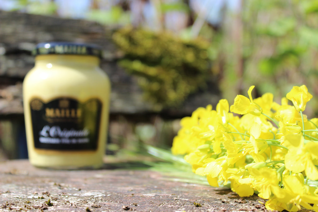 Maille Discovery: Mustard Making from Seed to Spoon